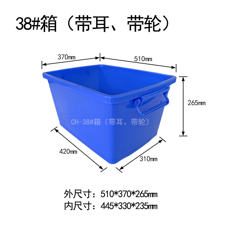 38#箱帶耳輪