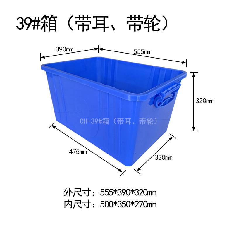 39#箱帶耳輪