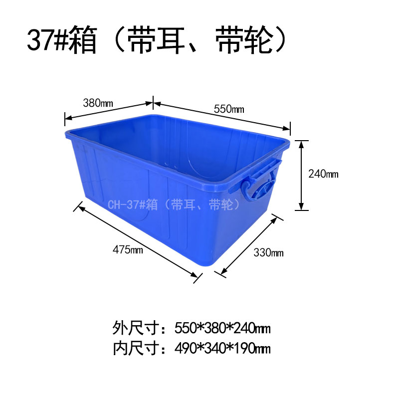 37#箱帶耳輪